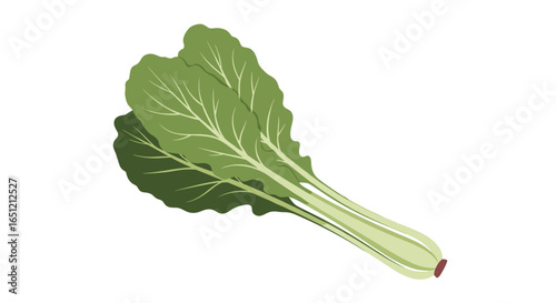Fresh green leafy vegetables for healthy eating and cooking