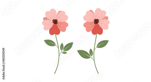 Two delicate pink flowers bloom on green stems with leaves