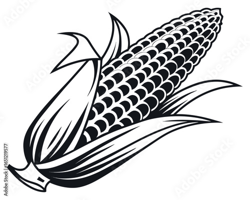 Vector art of corn cob with leaves isolated on white background