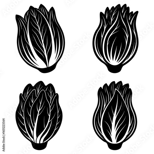 Four stylized monochrome bok choy heads arranged in a square pattern on a white background image design