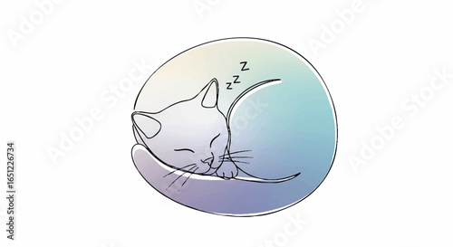 Sleeping curled up cat with zzz symbols