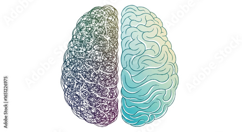 Human brain concept art, with left and right side
