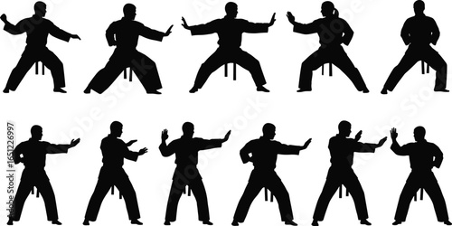 Martial artist silhouette set practicing different stances and poses, perfect for karate, taekwondo, self-defense, or combat illustrations