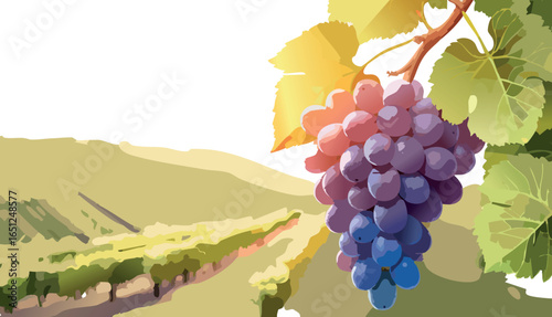 Ripe Grape Cluster Ready for Harvest
