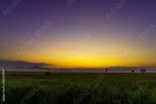 sunset over the field