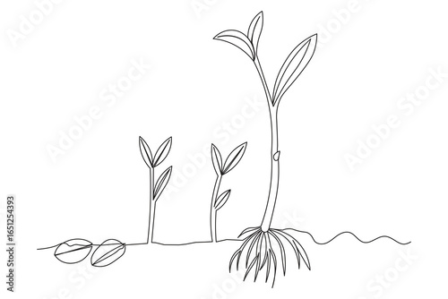 One-line illustration of rice seed germination Growth plane