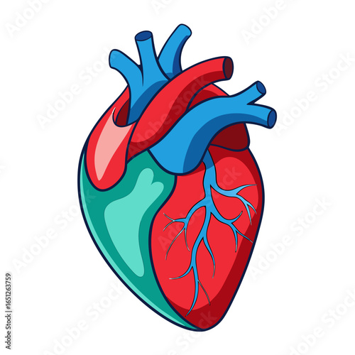 Vibrant anatomical heart illustration symbolizing life, health, and medical care, perfect for science and wellness content.