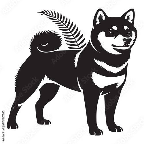 Black and tan shiba inu dog with fern detail