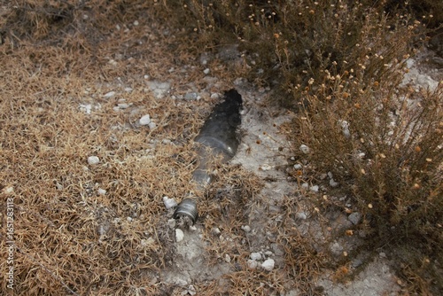 buried bottle 