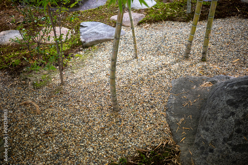 竹林