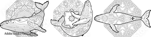 Swimming whales for anti stress Coloring Page.