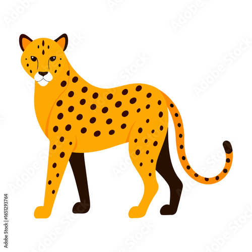 Would you like it shorter or more descriptive?