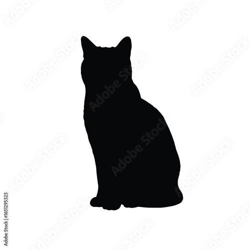 Black cat silhouette sitting feline animal