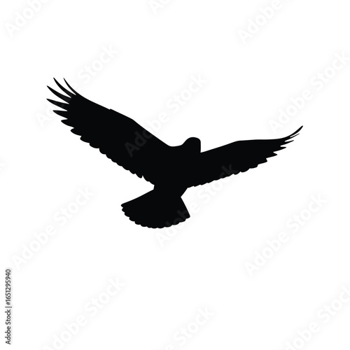 Black bird soaring with wings spread wide silhouette