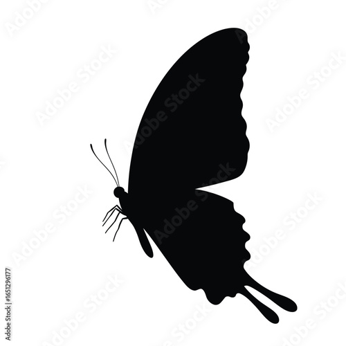 Black butterfly silhouette flying insect