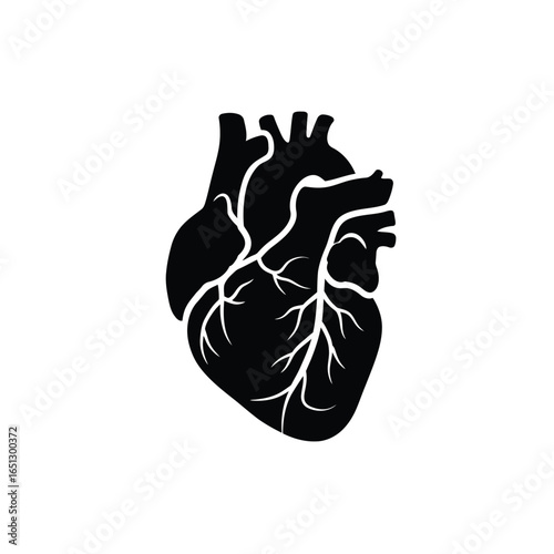 Black anatomical heart with white veins anatomy medical