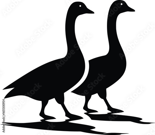 Silhouette of two geese standing side by side