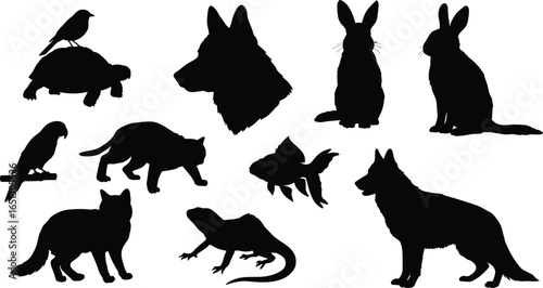 Pet animal silhouette clipart, domestic animal icons, cat dog rabbit turtle parrot lizard fish, black pet vector set