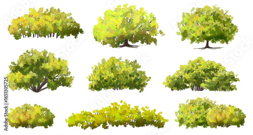  Vector watercolor green  tree or forest side view isolated on white background for landscape and architecture drawing,elements for environment or and garden,Shrub for section