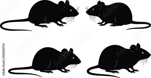 Silhouette of four black mice facing each other isolated on white background, rodents, animals, wildlife, nature, vector illustration