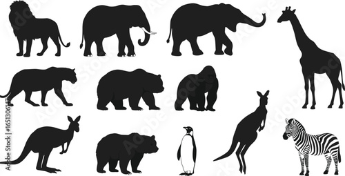 Wildlife animal silhouettes collection, African safari animals, jungle wildlife vector, nature animals icons, lion, elephant, giraffe, zebra, bear, kangaroo