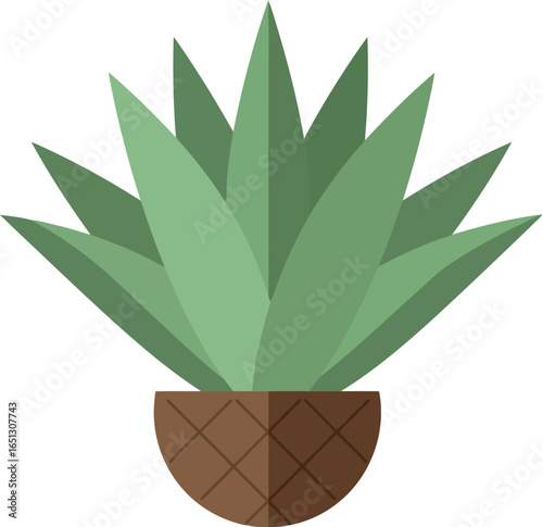 Stylized flat illustration of a green agave plant with pointed leaves in a textured brown pot on a white background