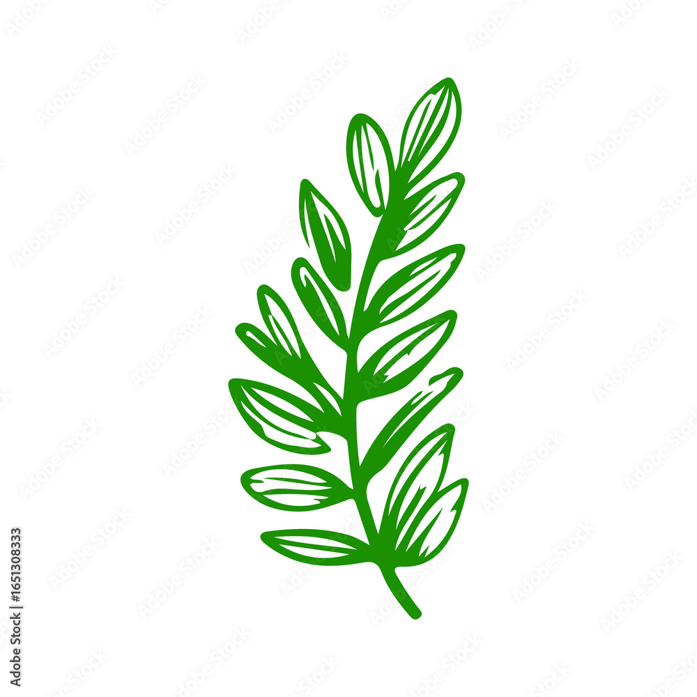 Naklejka premium doodle fresh herbs on white background 