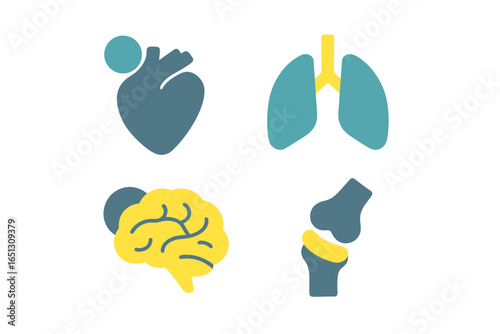 Health and wellness vector illustrations of human organs and systems