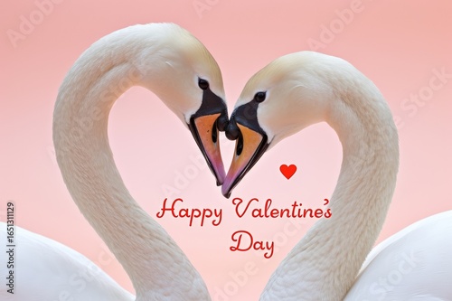 Romantic swans forming a heart shape.