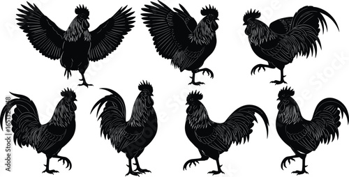 Detailed black rooster silhouettes in multiple dynamic poses, showcasing farm animal charm, poultry design, and rural-inspired vector art for creative projects