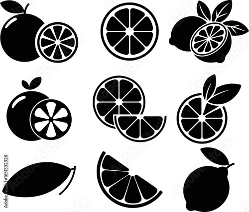 Citrus Fruits and Slices Silhouettes