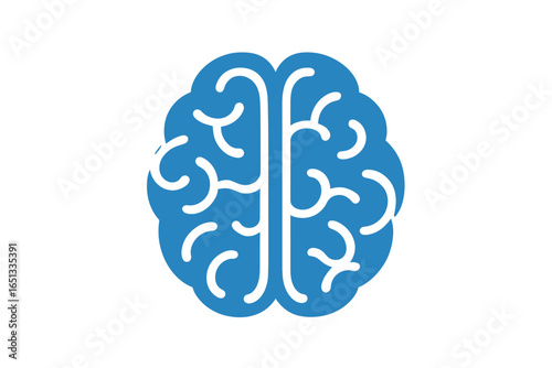 Vector illustration of the human brain anatomy, suitable for use as a logo or icon