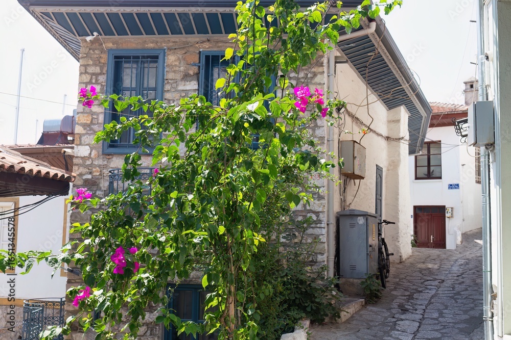 Obraz premium A quaint street scene with bougainvillea in the foreground features stone buildings and cobblestone roads in old Marmaris - Mugla - Turkey