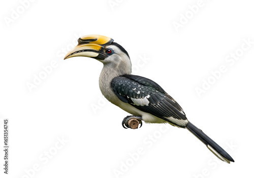Realistic detailed sculpture of a hornbill bird with a prominent yellow beak on a black background