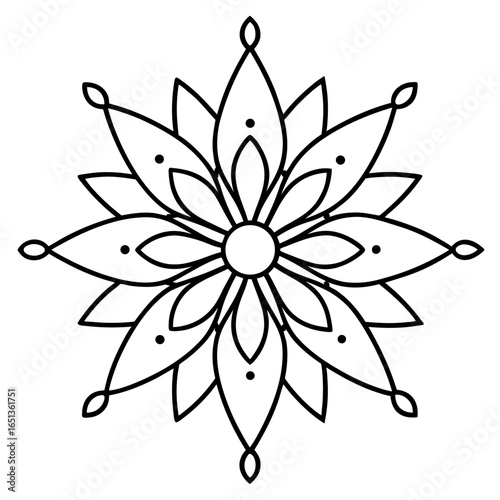 This Image Features a Stunning Intricate Pattern