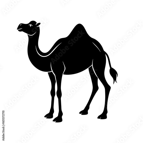 vector silhouette of a camel with two humps on wh