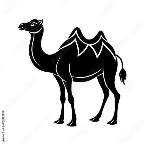 vector silhouette of a camel with two humps on wh