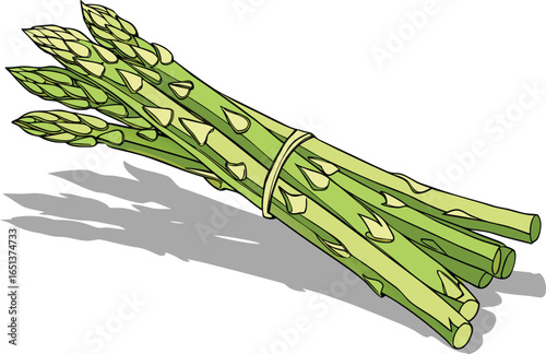 bunch of asparagus