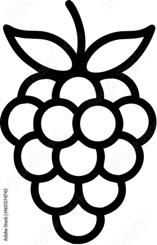 Blackberry fruit or blackberries line art vector icon 