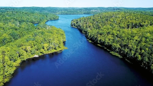 Aerial view of a river flowing through a dense green forest on a sunny day