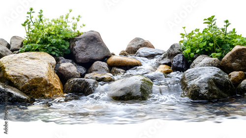 Nature scene with clear water flowing over smooth rocks and lush green plants, isolated on white background