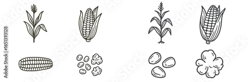 Illustration of various types of corn and related products