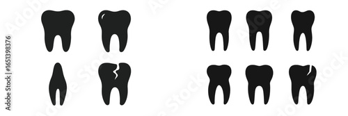 Vector illustrations of tooth shapes for dental education