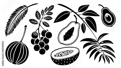 Monochrome Tropical Fruit and Foliage Collection in Vector Format for Graphic Design and Illustration Projects