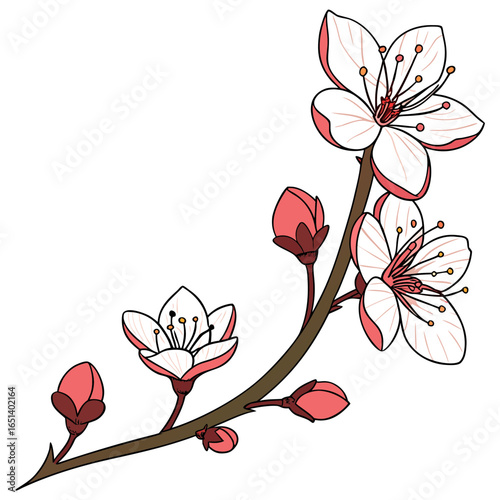 Beautiful blooming cherry blossom branch vector illustration floral design spring season graphic element with petals