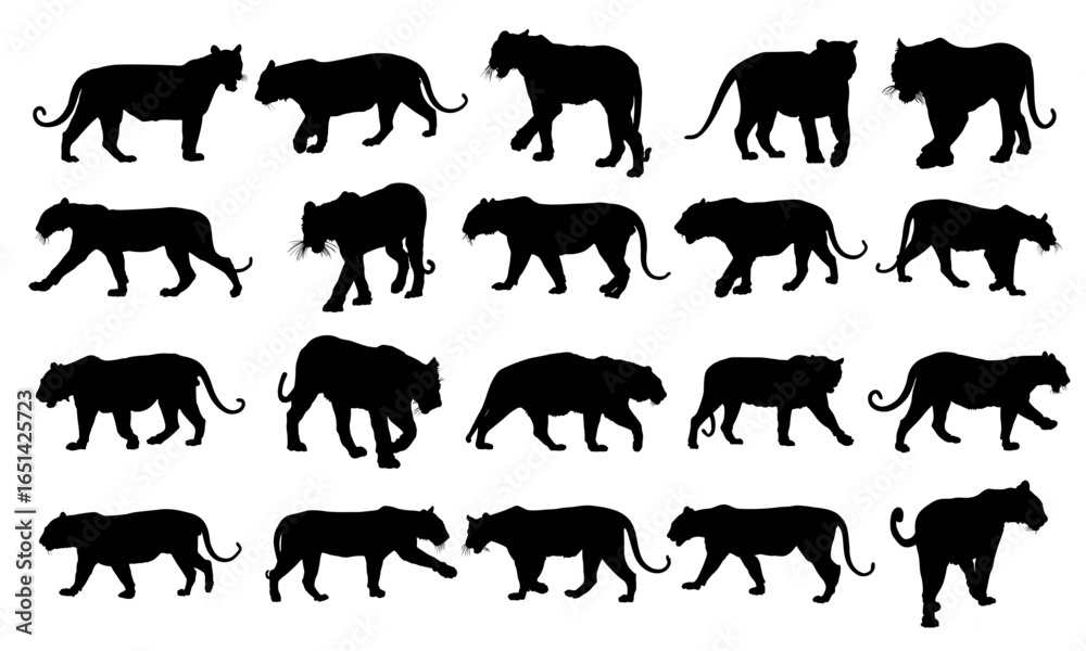 Fototapeta premium Tiger Black Vector Silhouette