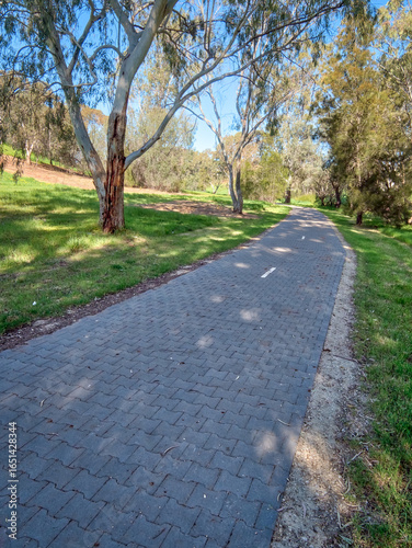 vibrant photos of Playford's landscape transformation. Showcase grant-funded revegetation, mass plantings, and biodiversity at Craigmore Park. Capture spring meadows, young forests