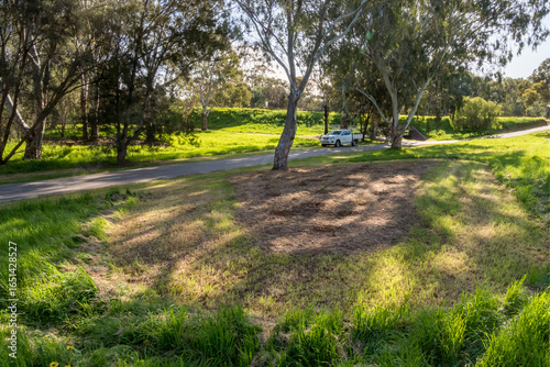 vibrant photos of Playford's landscape transformation. Showcase grant-funded revegetation, mass plantings, and biodiversity at Craigmore Park. Capture spring meadows, young forests
