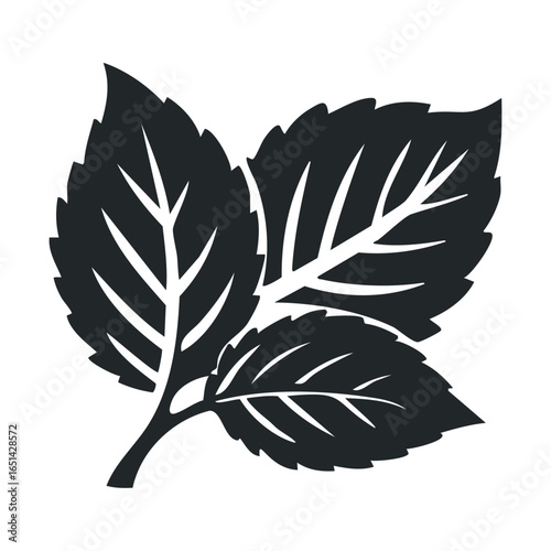Black silhouette of three mint leaves isolated on white background