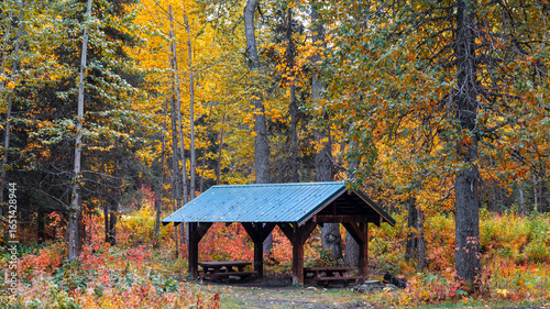 Fotografía Small picnic shelter surrounded with colorful fall foliage in Alaska countryside during autumn time